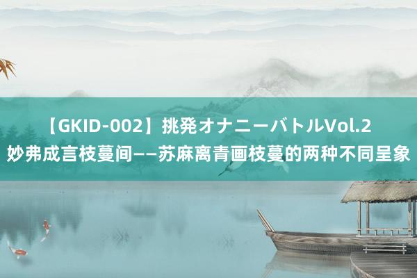 【GKID-002】挑発オナニーバトルVol.2 妙弗成言枝蔓间——苏麻离青画枝蔓的两种不同呈象