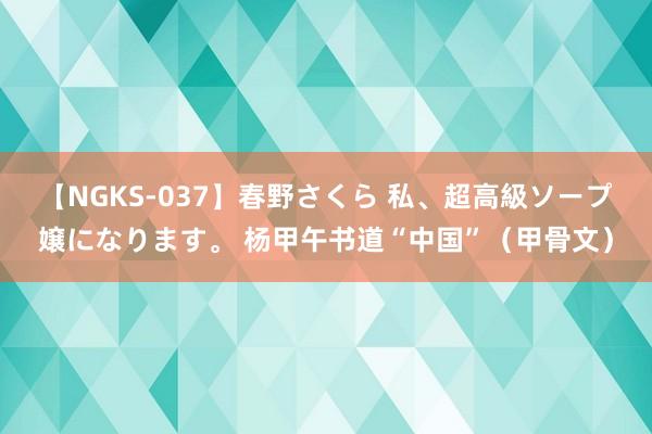 【NGKS-037】春野さくら 私、超高級ソープ嬢になります。 杨甲午书道“中国”（甲骨文）