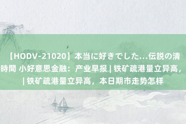 【HODV-21020】本当に好きでした…伝説の清純派AV女優 3人2時間 小好意思金融：产业早报 | 铁矿疏港量立异高，本日期市走势怎样