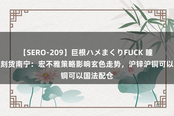 【SERO-209】巨根ハメまくりFUCK 瞳 国海良时刻货南宁：宏不雅策略影响玄色走势，沪锌沪铜可以国法配仓