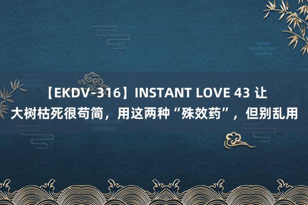 【EKDV-316】INSTANT LOVE 43 让大树枯死很苟简，用这两种“殊效药”，但别乱用