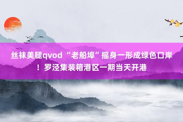 丝袜美腿qvod “老船埠”摇身一形成绿色口岸！罗泾集装箱港区一期当天开港