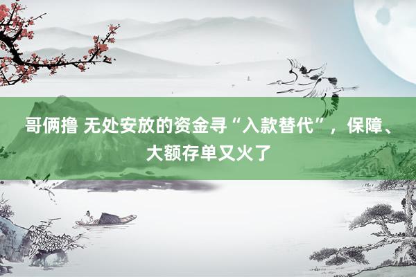 哥俩撸 无处安放的资金寻“入款替代”，保障、大额存单又火了