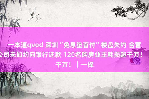 一本道qvod 深圳“免息垫首付”楼盘失约 合营贷款公司未如约向银行还款 120名购房业主耗损超千万！︱一探