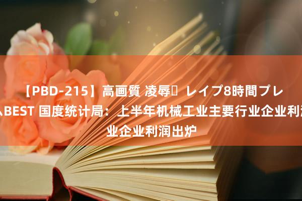 【PBD-215】高画質 凌辱・レイプ8時間プレミアムBEST 国度统计局：上半年机械工业主要行业企业利润出炉