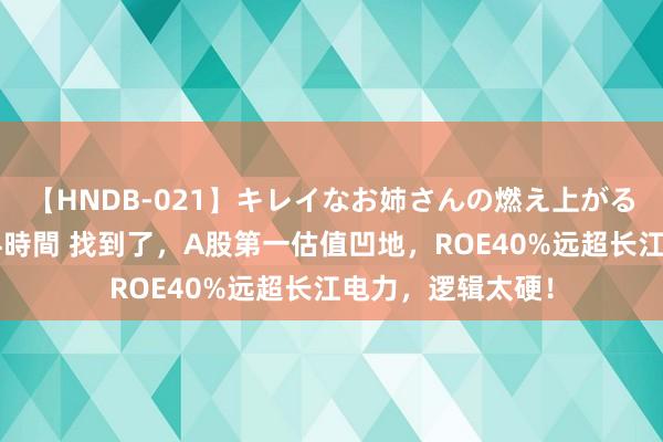 【HNDB-021】キレイなお姉さんの燃え上がる本物中出し交尾4時間 找到了，A股第一估值凹地，ROE40%远超长江电力，逻辑太硬！