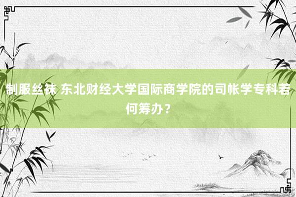 制服丝袜 东北财经大学国际商学院的司帐学专科若何筹办？