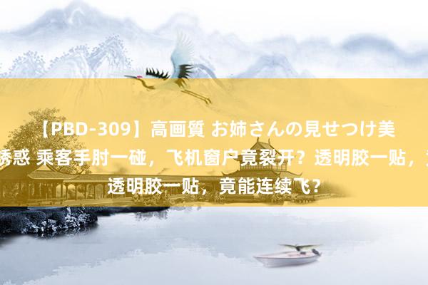 【PBD-309】高画質 お姉さんの見せつけ美尻＆美脚の誘惑 乘客手肘一碰，飞机窗户竟裂开？透明胶一贴，竟能连续飞？