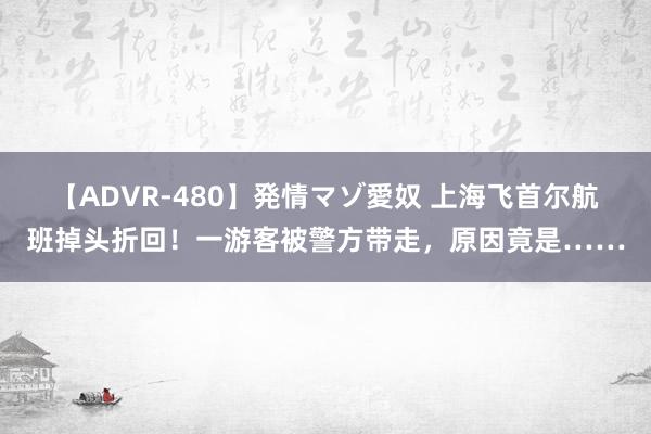 【ADVR-480】発情マゾ愛奴 上海飞首尔航班掉头折回！一游客被警方带走，原因竟是……