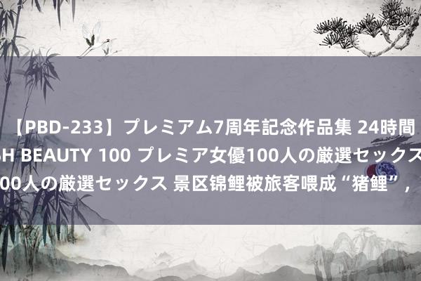 【PBD-233】プレミアム7周年記念作品集 24時間 PREMIUM STYLISH BEAUTY 100 プレミア女優100人の厳選セックス 景区锦鲤被旅客喂成“猪鲤”，这并不好意思好