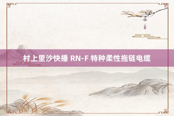 村上里沙快播 RN-F 特种柔性拖链电缆