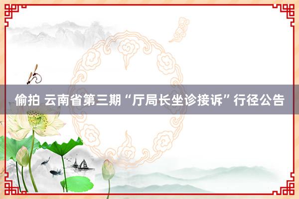 偷拍 云南省第三期“厅局长坐诊接诉”行径公告