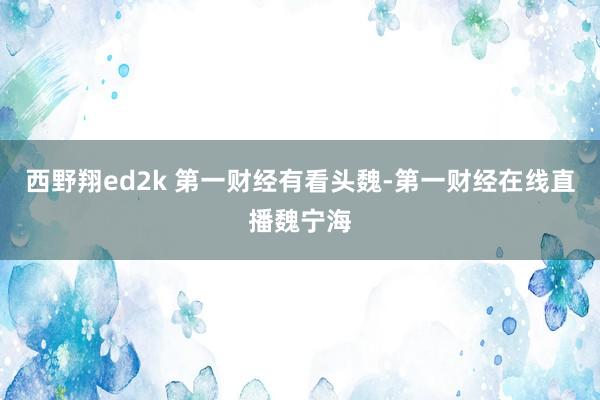 西野翔ed2k 第一财经有看头魏-第一财经在线直播魏宁海