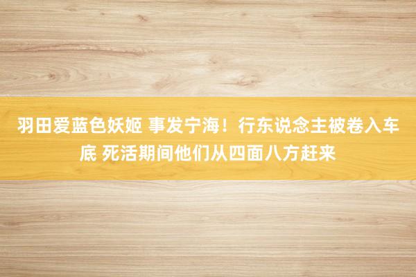 羽田爱蓝色妖姬 事发宁海！行东说念主被卷入车底 死活期间他们从四面八方赶来