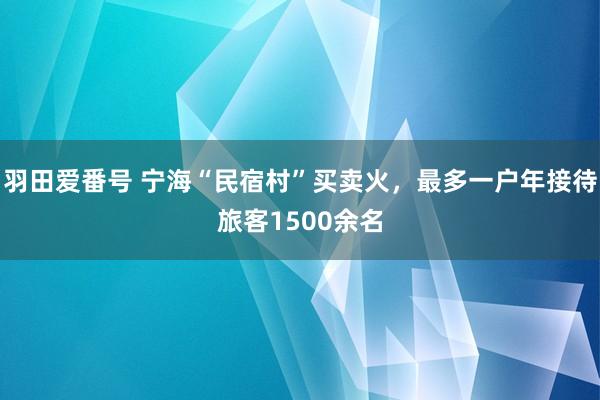 羽田爱番号 宁海“民宿村”买卖火，最多一户年接待旅客1500余名