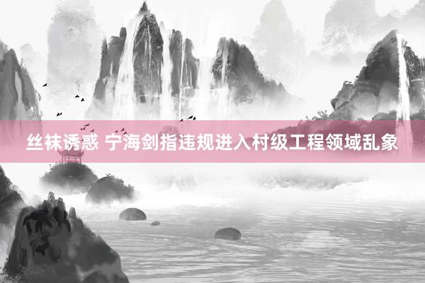 丝袜诱惑 宁海剑指违规进入村级工程领域乱象