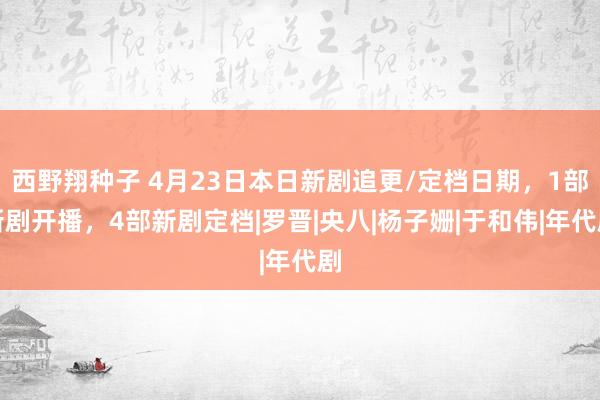 西野翔种子 4月23日本日新剧追更/定档日期，1部新剧开播，4部新剧定档|罗晋|央八|杨子姗|于和伟|年代剧