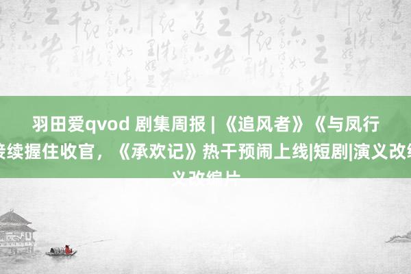 羽田爱qvod 剧集周报 | 《追风者》《与凤行》接续握住收官，《承欢记》热干预闹上线|短剧|演义改编片