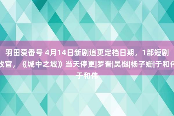 羽田爱番号 4月14日新剧追更定档日期，1部短剧收官，《城中之城》当天停更|罗晋|吴樾|杨子姗|于和伟